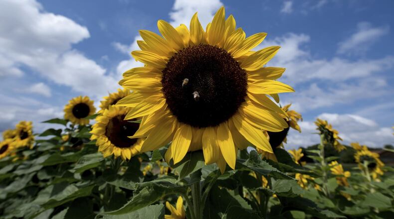 Sunshine Today; Rain Develops Tomorrow