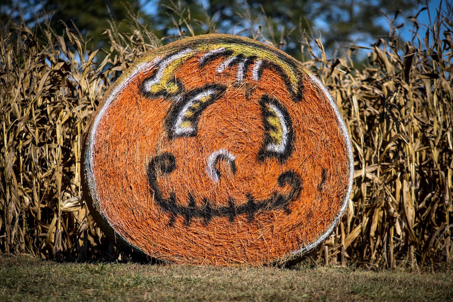 Jackson Family Farm offers visitors a chance to learn about farm life