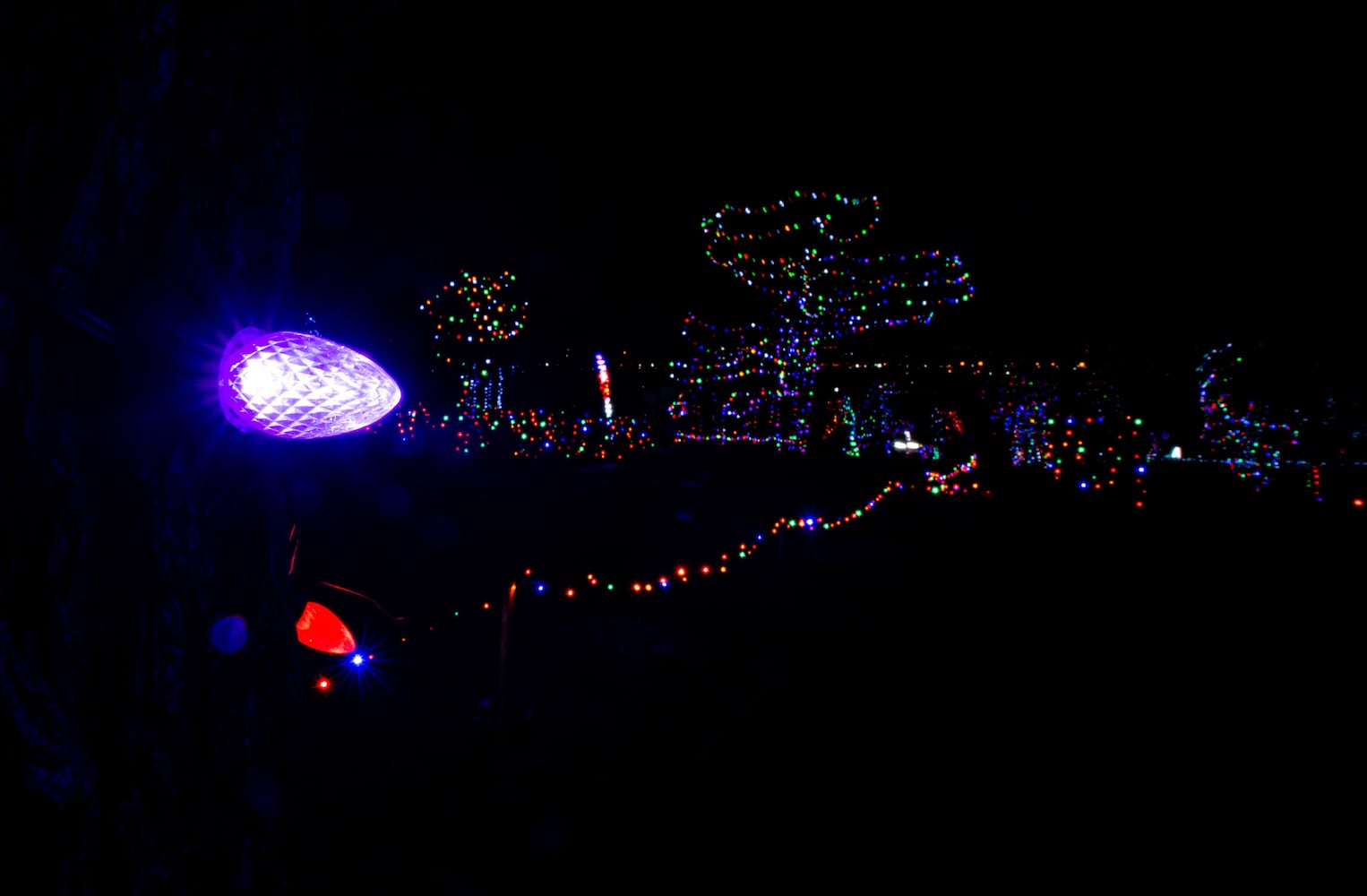 111920 Journey Borealis at Pyramid Hill drive-thru holiday light display