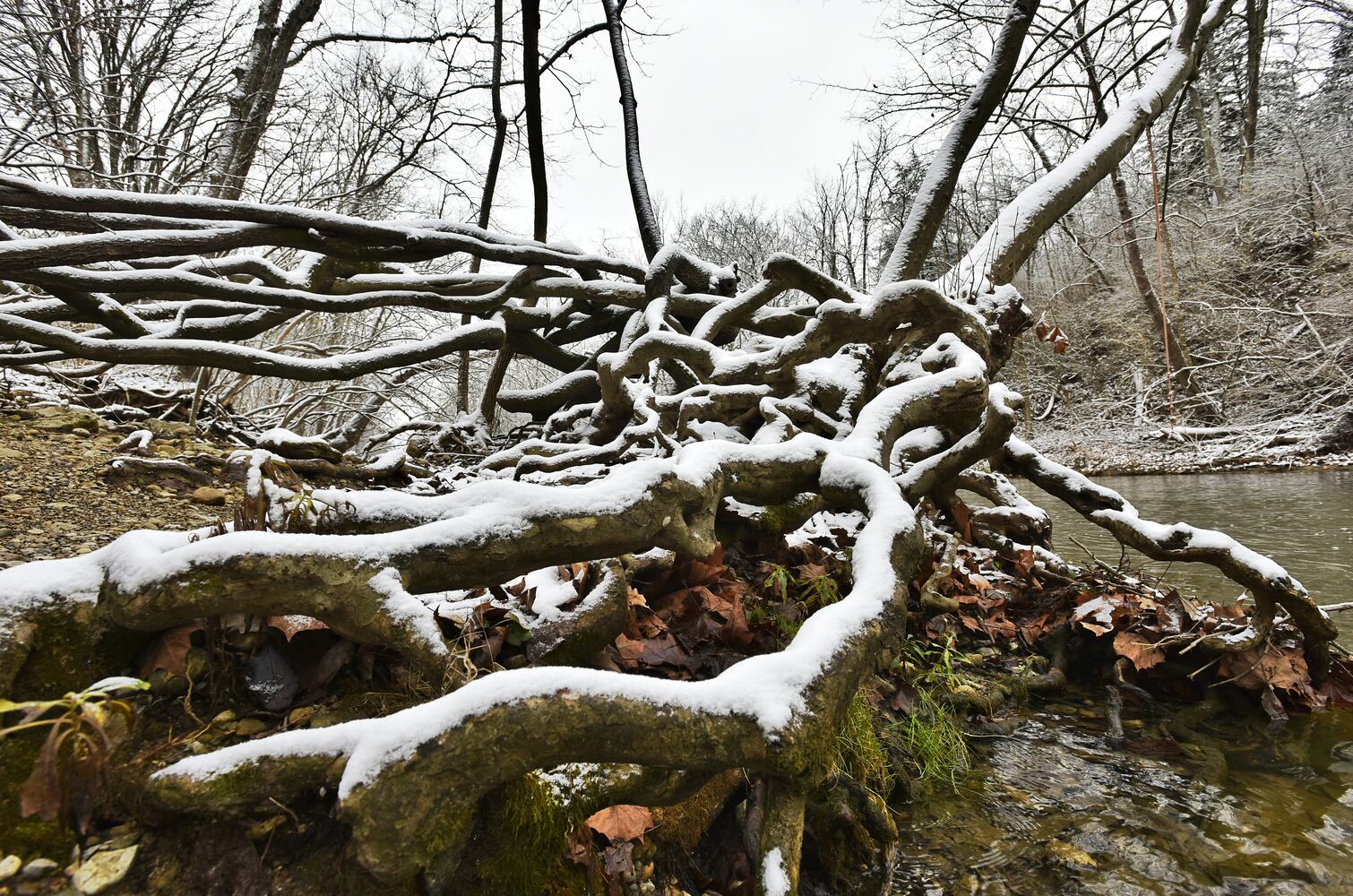 120120 butler snow