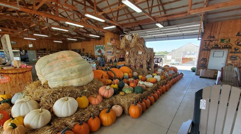 Butterfields Farm Market, on Trenton Oxford Road in Oxford, offers fall items in its store and has a corn maze on site. CONTRIBUTED
