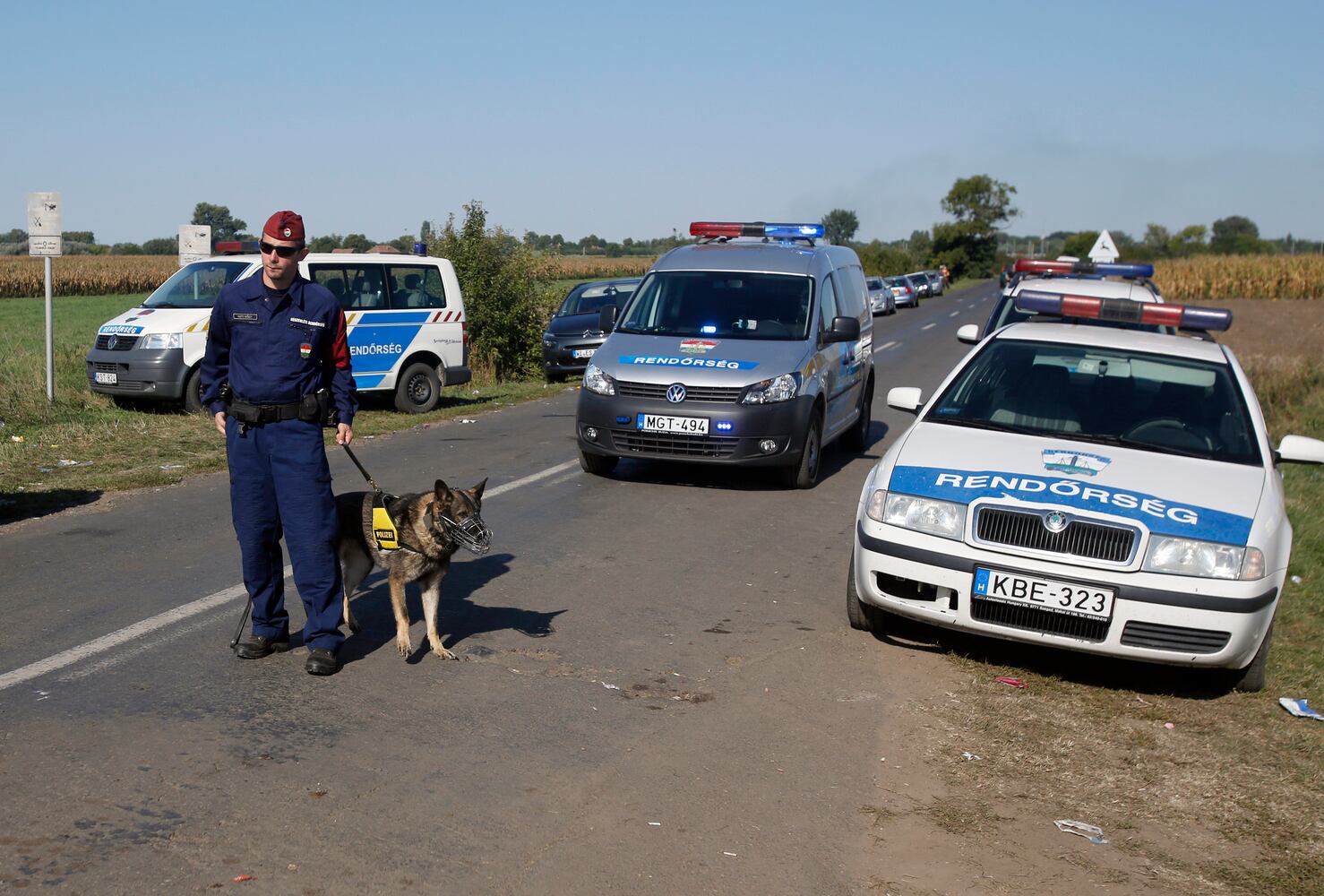 News hounds (9/10/15)