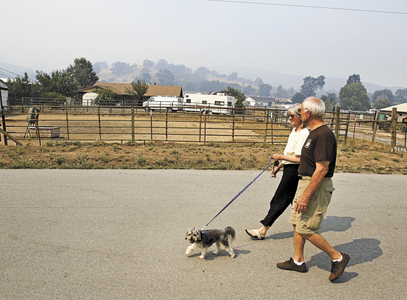 News hounds (8/20/15)