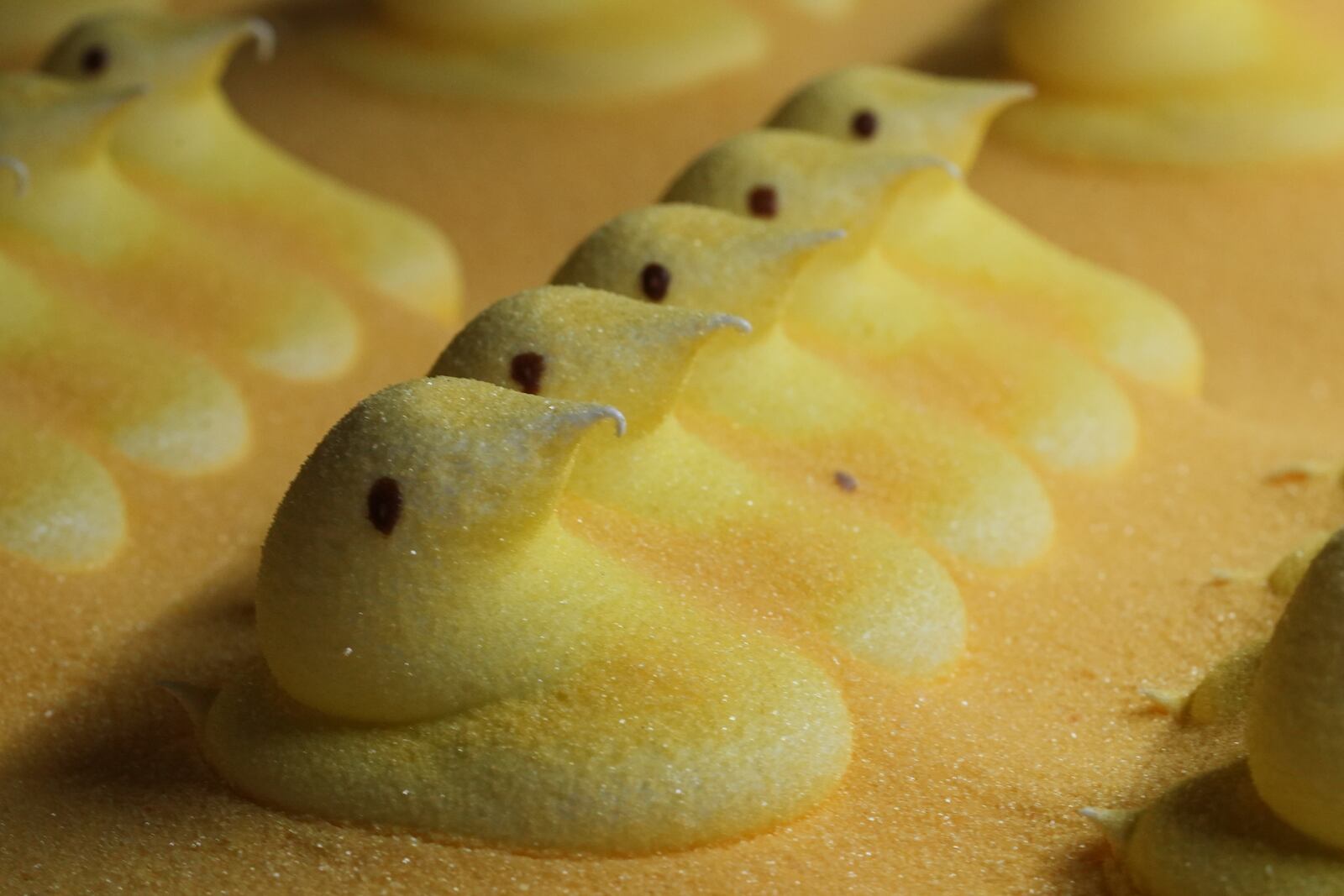 Peeps marshmallow treats move through the manufacturing process at the Just Born factory in Bethlehem, Pa., Thursday, April 10, 2025. (AP Photo/Matt Rourke)