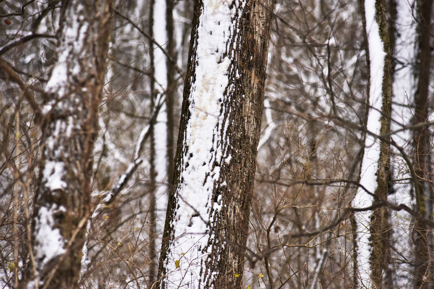 120120 butler snow