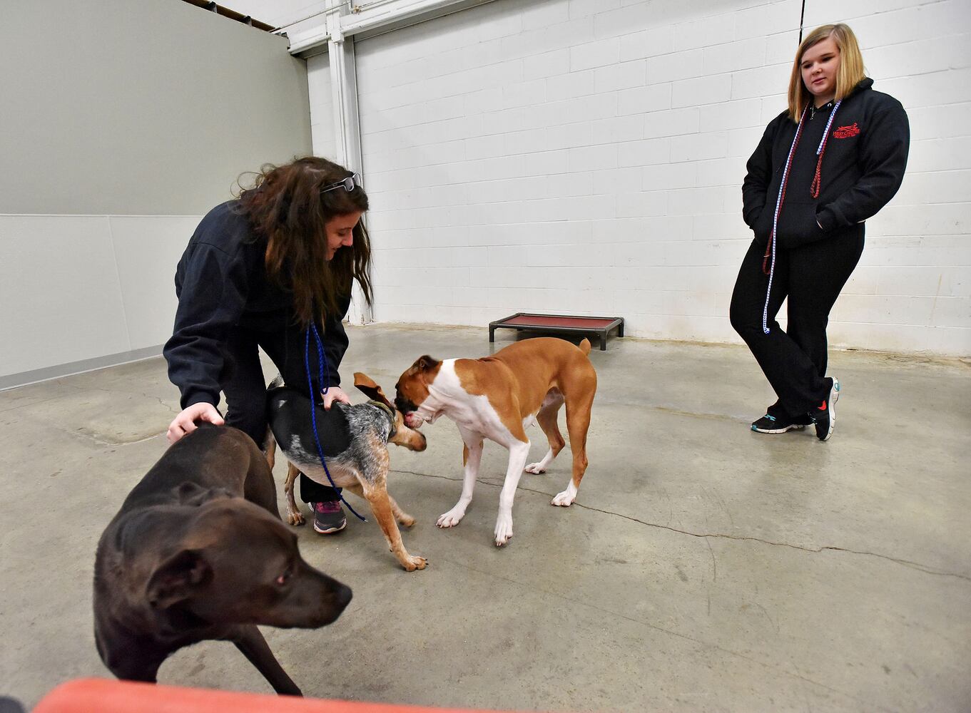 West Chester Pet Resort