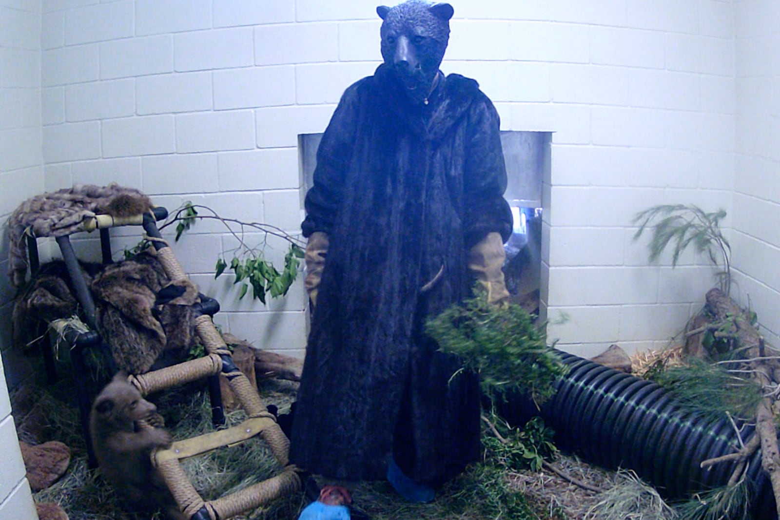 In this photo provided by San Diego Humane Society, an employee wears a costume while interacting with a bear cub, which was found alone in Los Padres National Forest, bottom left, at the San Diego Human Society Ramona Wildlife Center on Sunday, May 18, 2025, in Ramona, Calif. (San Diego Humane Society via AP)