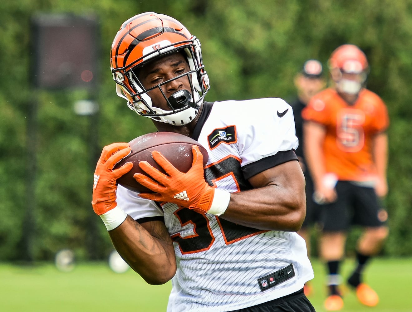 Cincinnati Bengals OTA