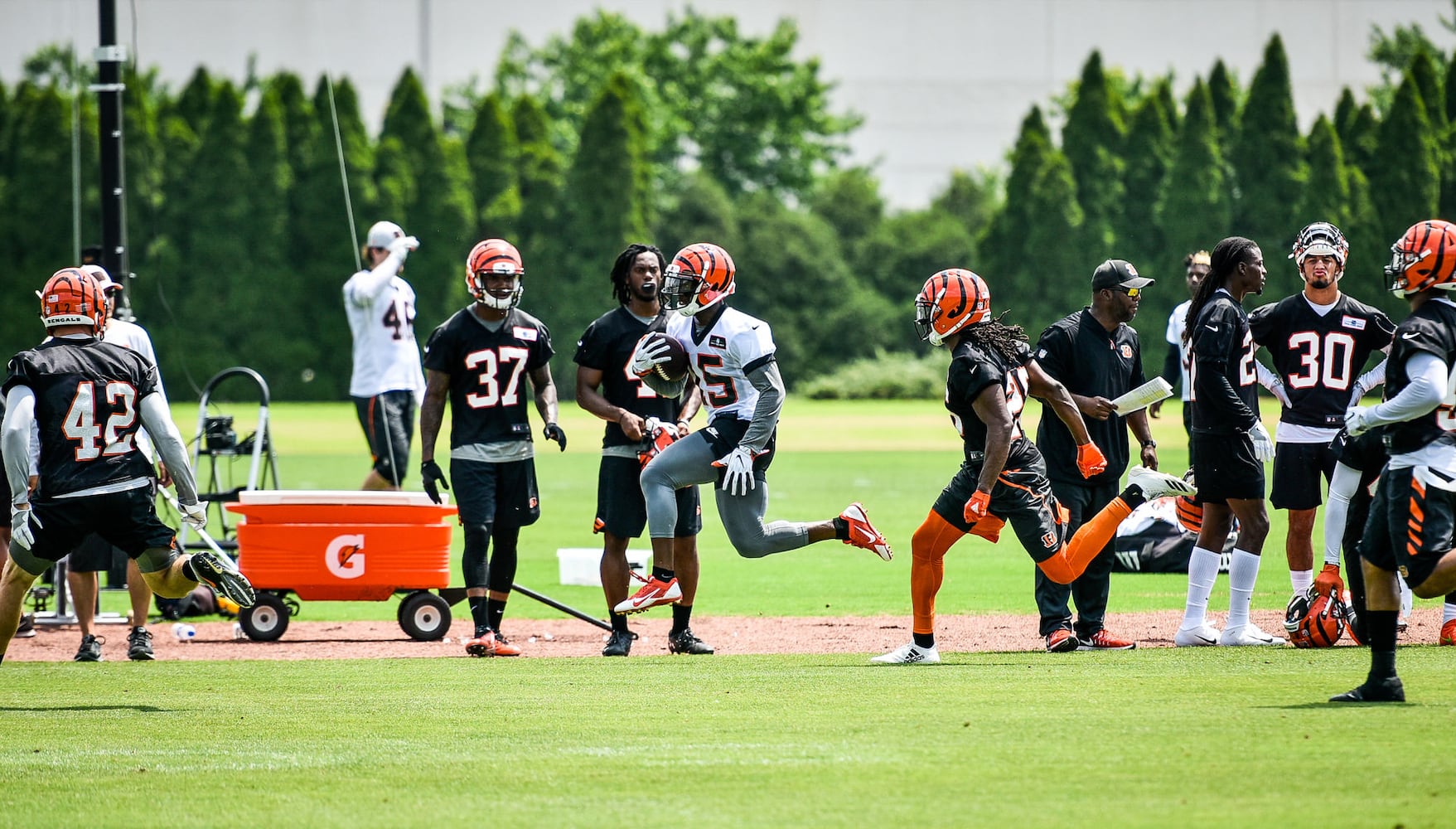 Cincinnati Bengals OTA