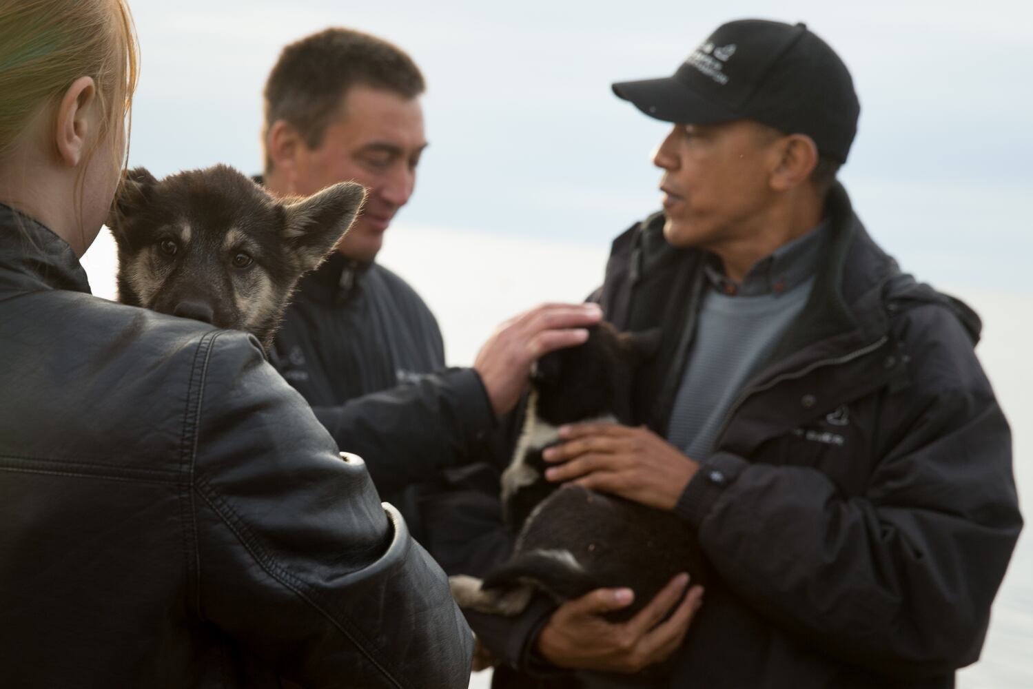 News hounds (9/3/15)
