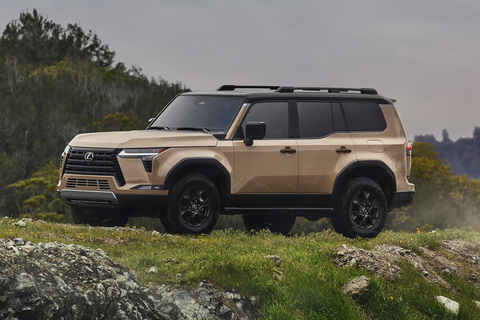 This photo provided by Lexus shows the GX 550, a luxurious SUV with serious off-road capabilities. (Courtesy of Toyota Motor Sales U.S.A. via AP)