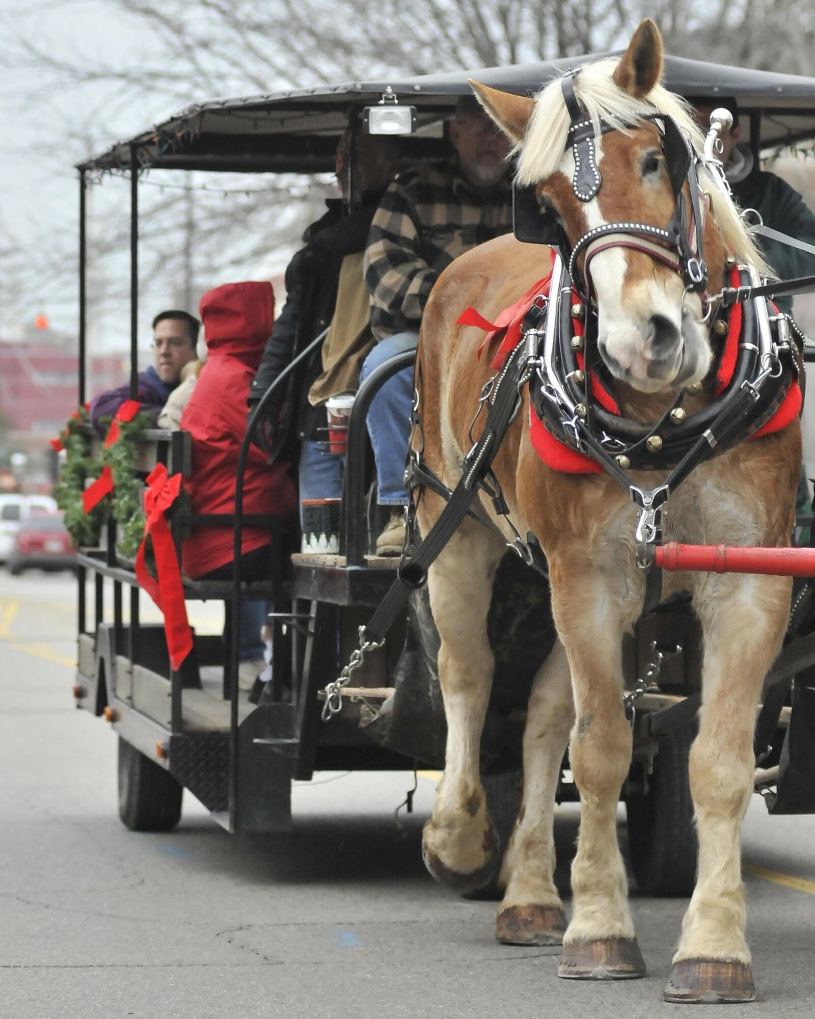 Many braved the weather Sunday for the Annual German Village Christmas Walk in Hamilton. The annual walk gives people the oppurtunity to view some of the historical houses in the village as well as carriage rides, face painting, visiting Santa and music at several different locations. (Martin Wheeler Photo)