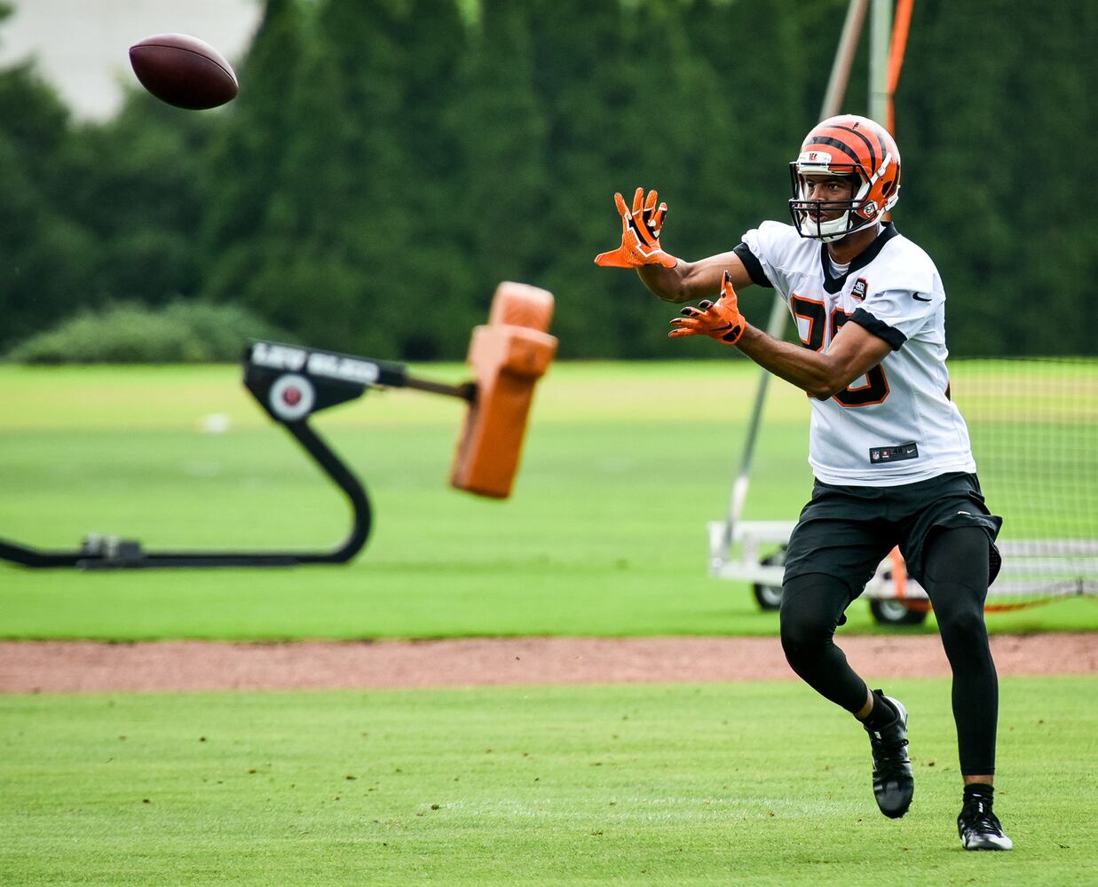 Cincinnati Bengals OTA