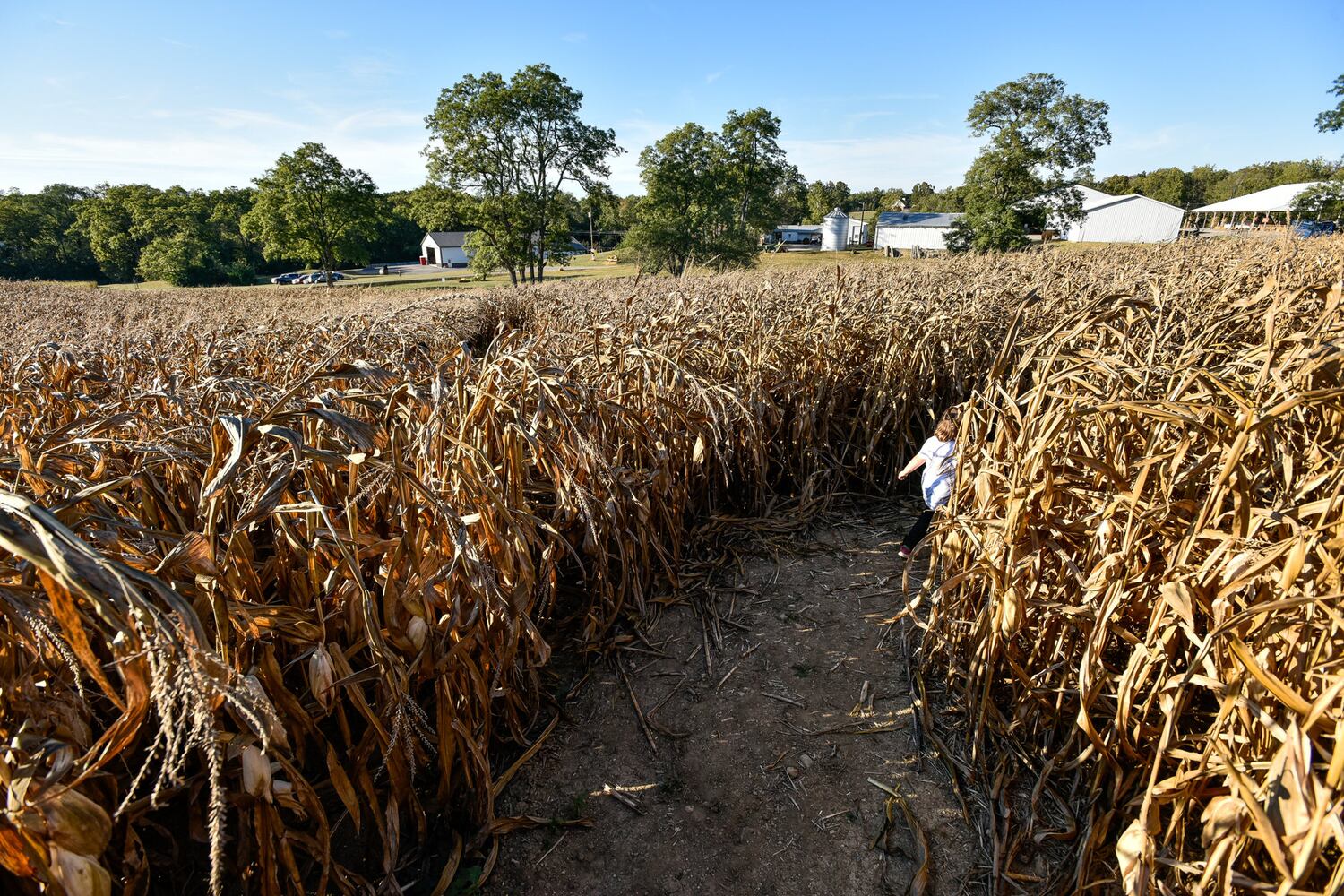 Jackson Family Farm offers visitors a chance to learn about farm life