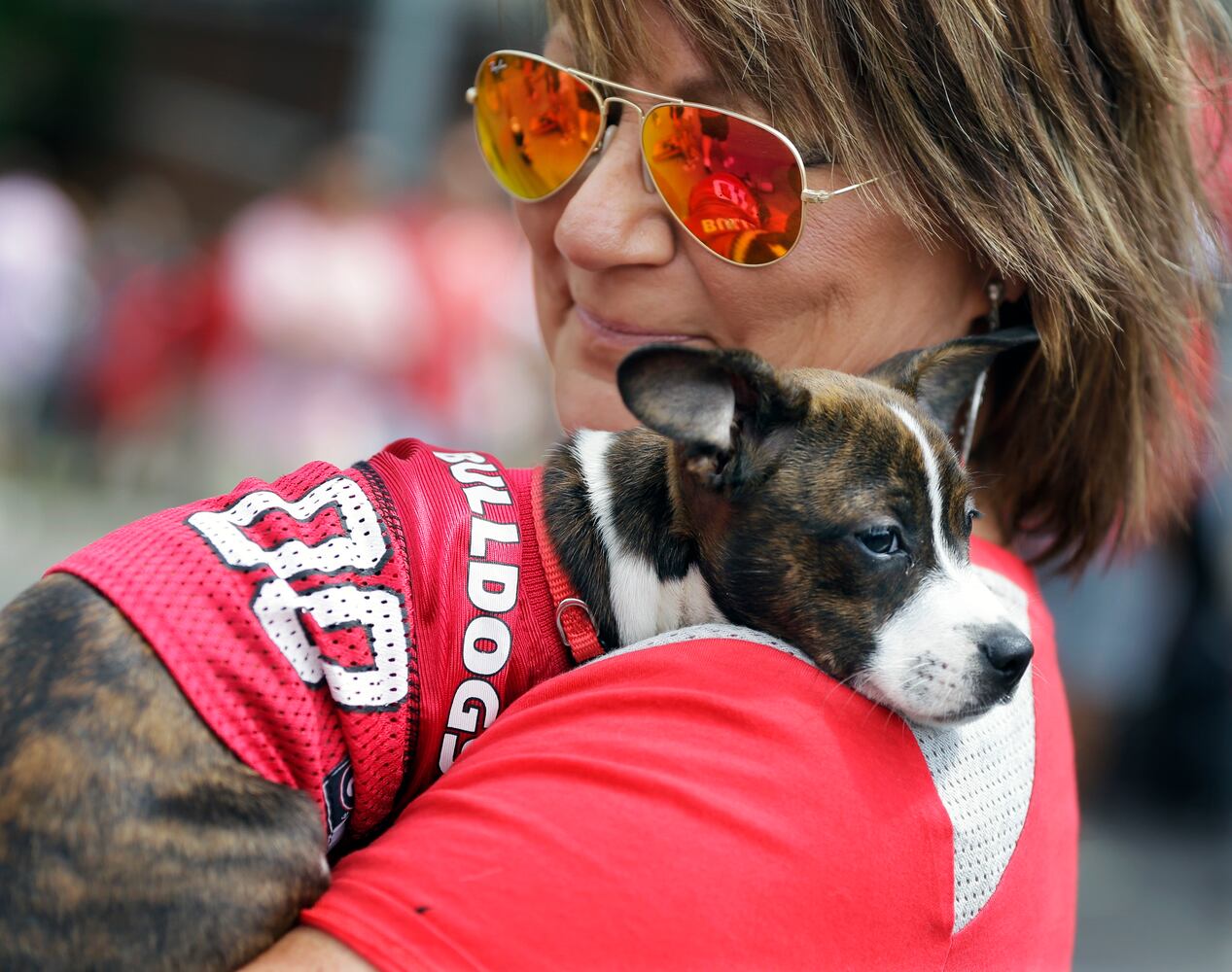 News hounds (9/17/15)