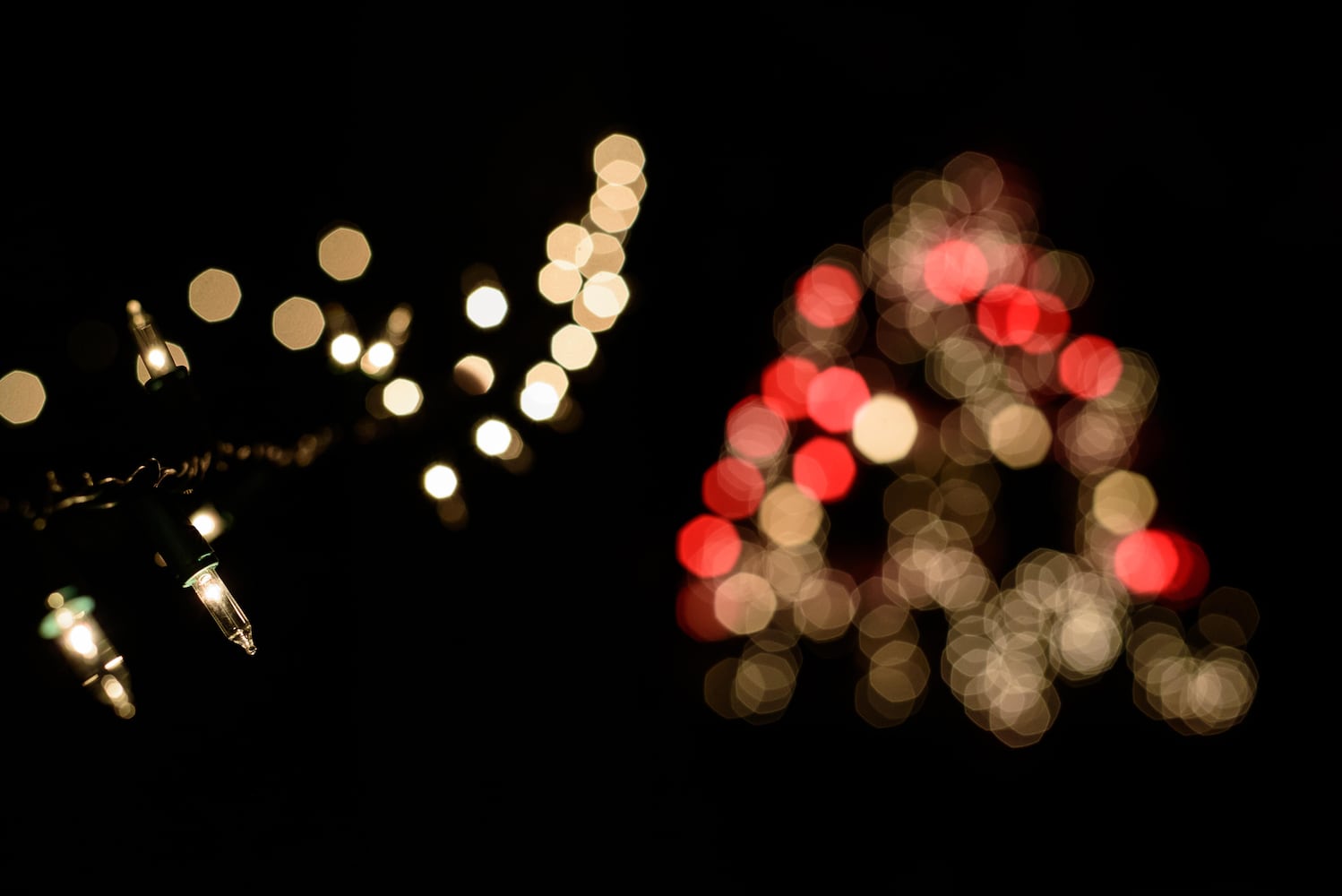 PHOTOS: Holiday Luminary Walk & Live Nativity at Hidden Valley Orchards