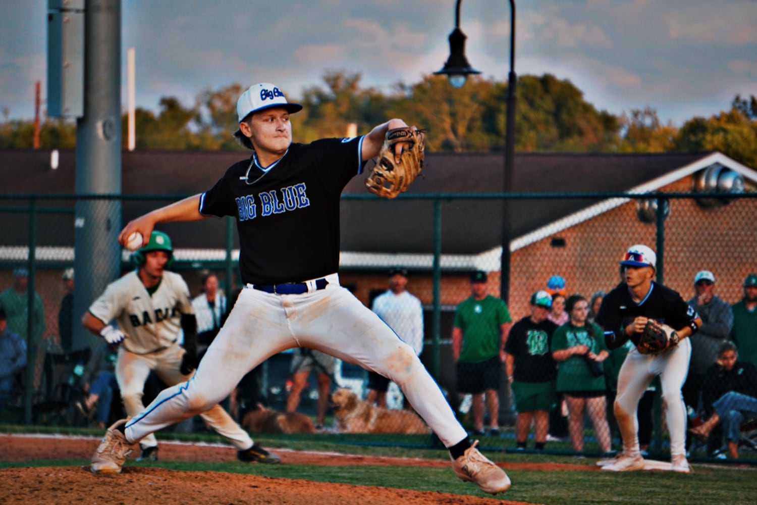 Hamilton pitcher