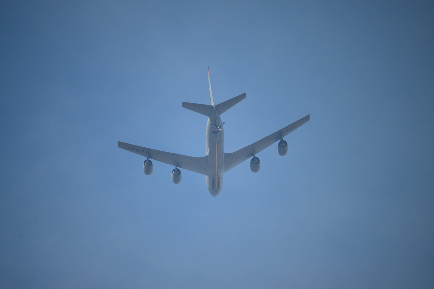 bengals browns miller