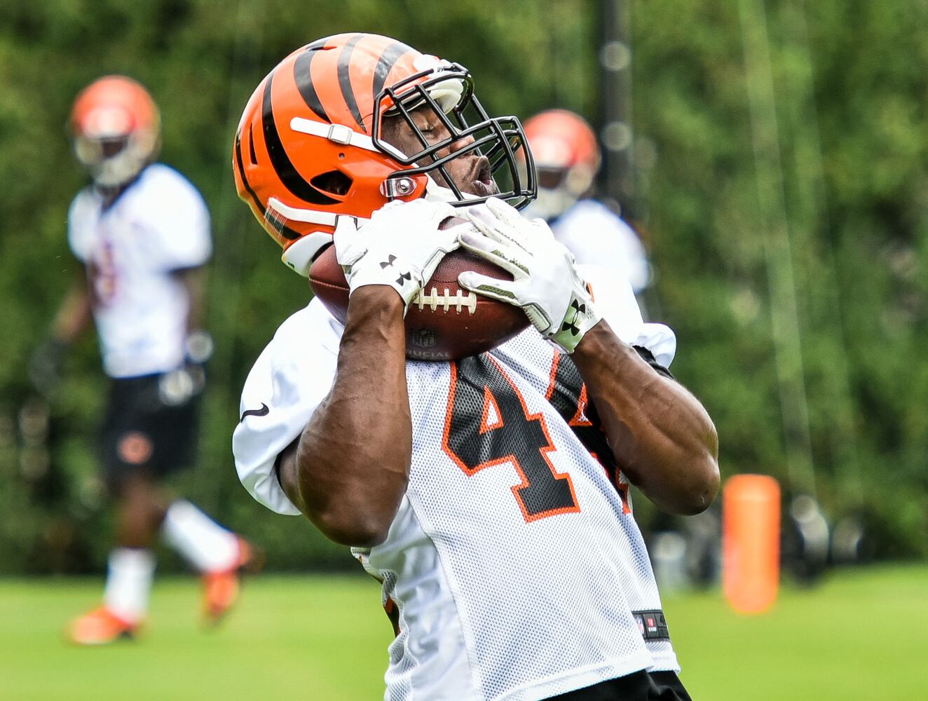 Cincinnati Bengals OTA