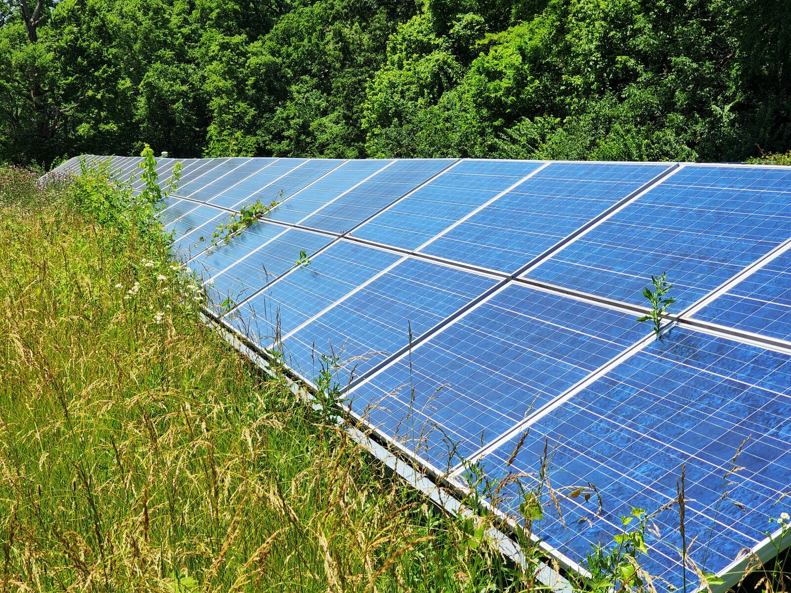 Butler County Commissioners have been asked by 12 townships to ban large scale solar and wind farms according to new law. Several residents protested the plan at a public hearing Monday. NICK GRAHAM/STAFF