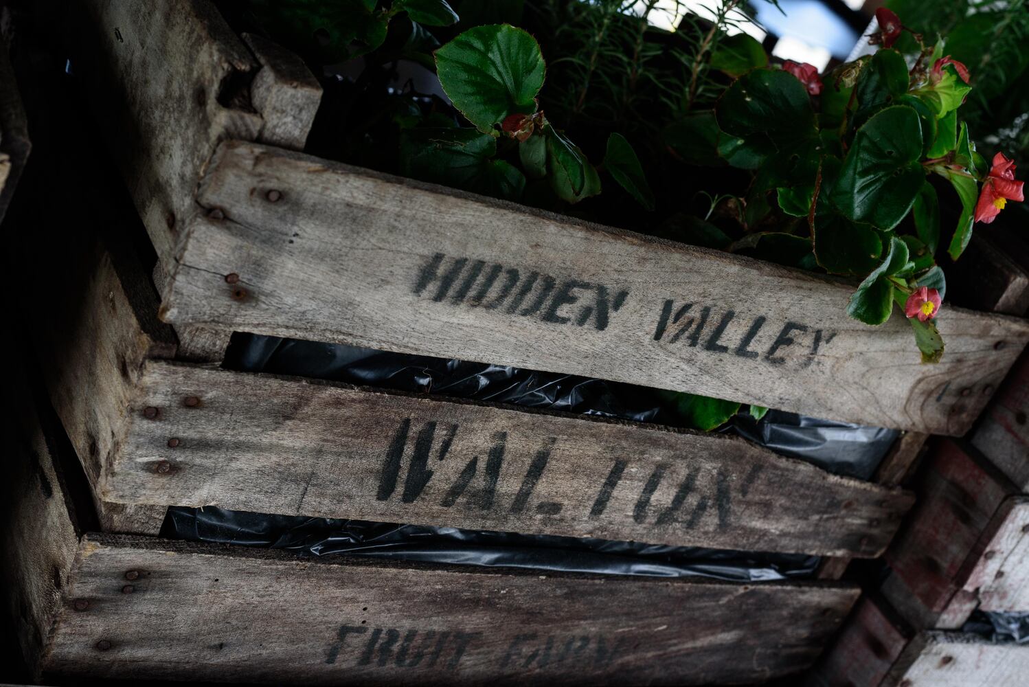 Hidden Valley Orchards