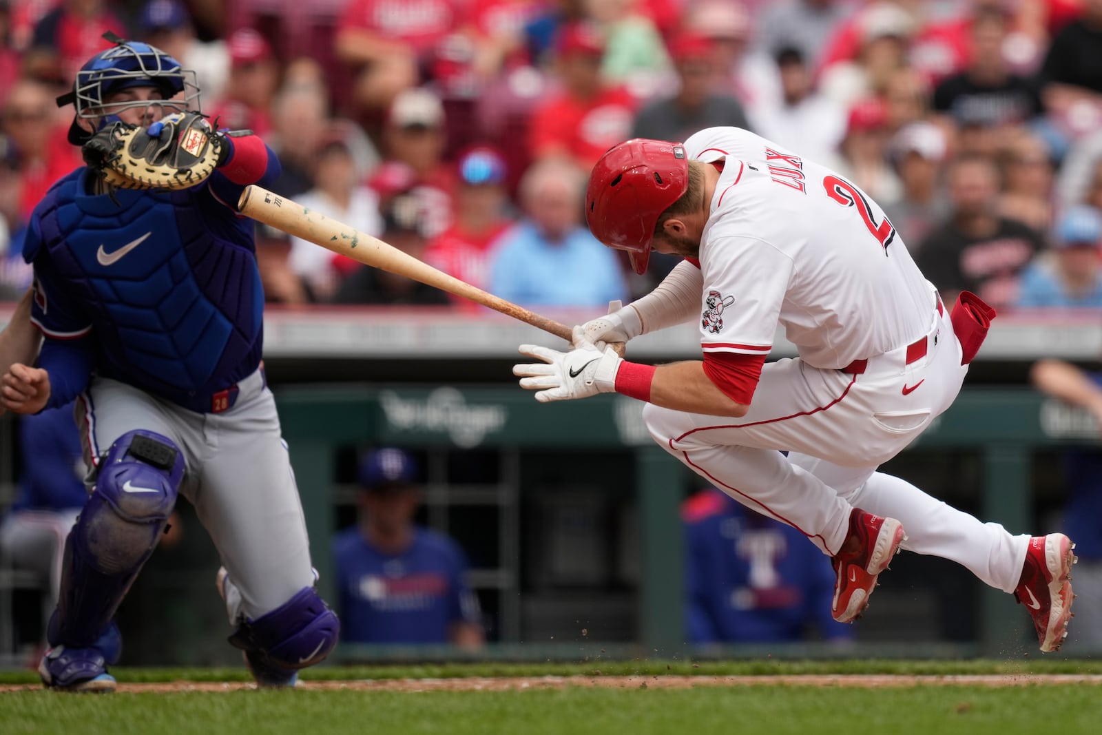 Cincinnati Reds' Gavin Lux dives from an inside and high pitch as Texas Rangers catcher Jonah Heim catches as left seventh inning of a baseball game, Wednesday, April 2, 2025, in Cincinnati. (AP Photo/Carolyn Kaster)