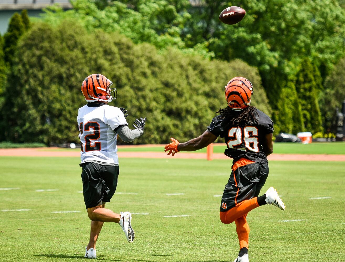 Cincinnati Bengals OTA