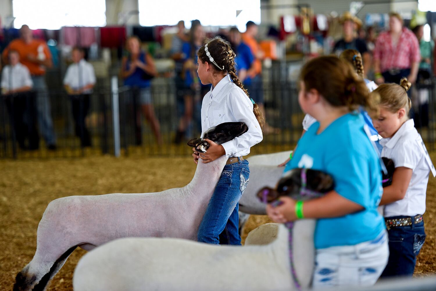 Warren County Fair 2015 Day 1