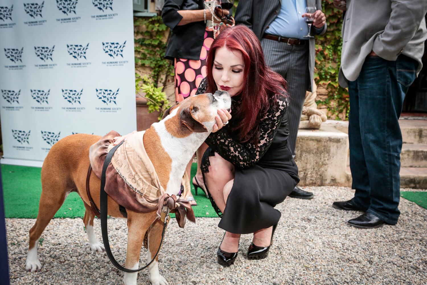 News hounds (9/17/15)