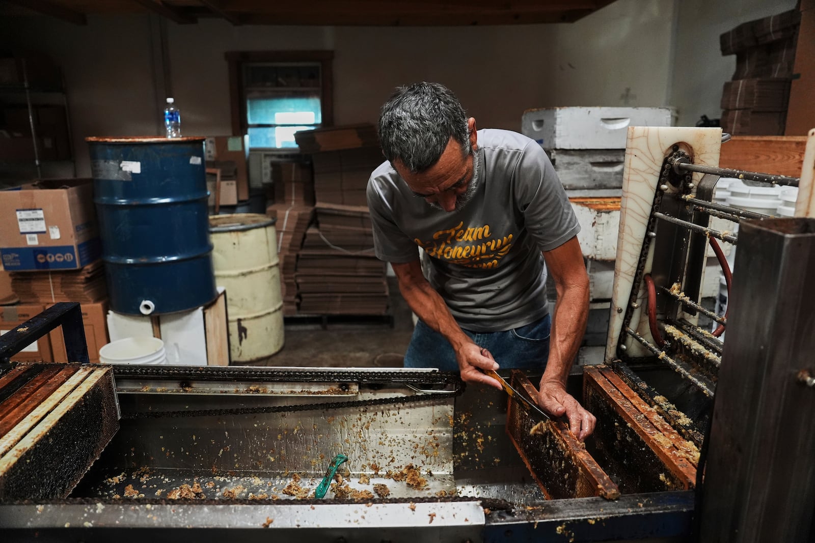 An employee scrapes raw honey off of a honeycomb while working Tuesday, June 24, 2025, at Honeyrun Farm in Williamsport, Ohio. (AP Photo/Joshua A. Bickel)