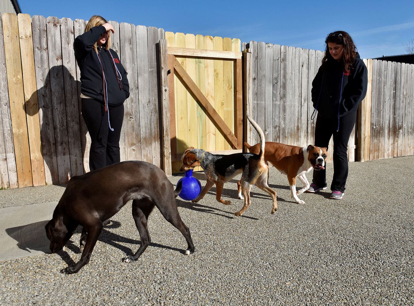 West Chester Pet Resort