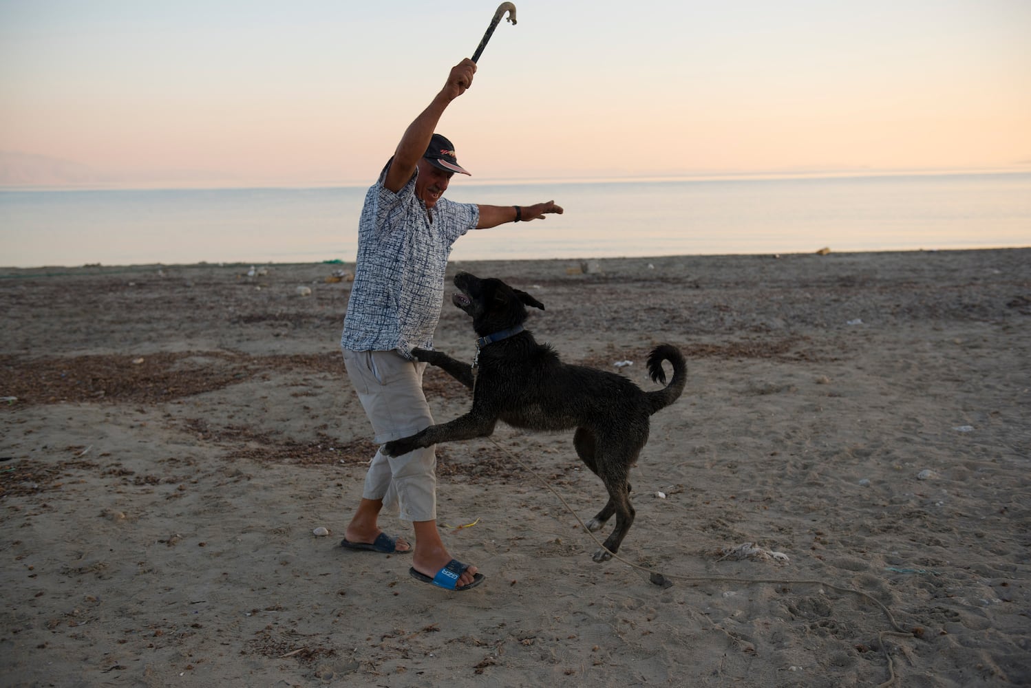News hounds (8/20/15)