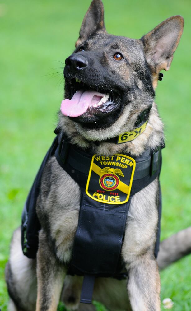 News hounds (8/27/15)