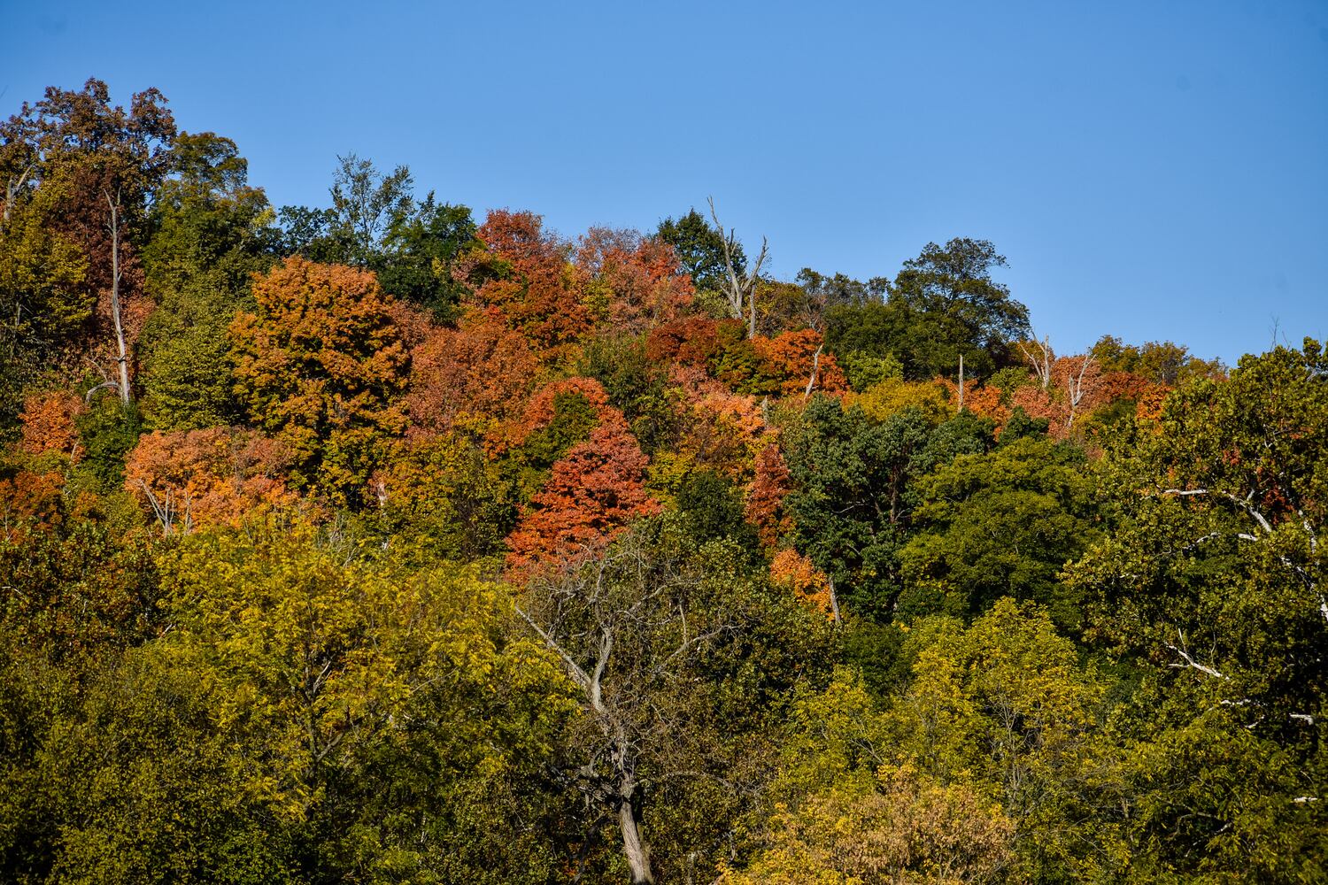 Fall colors October 2020