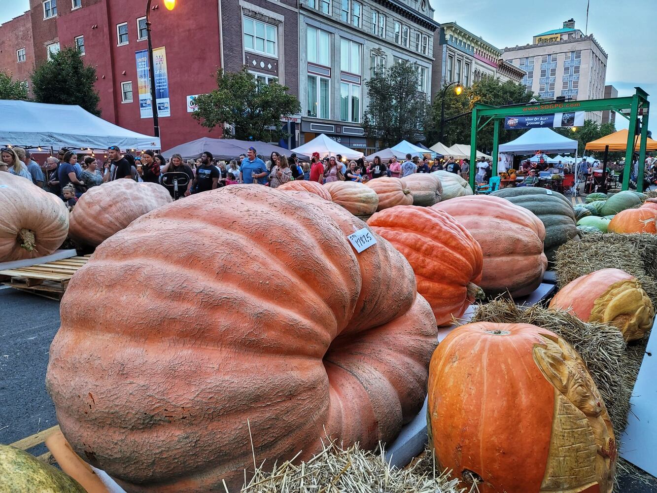 100921 Operation Pumpkin Hamilton