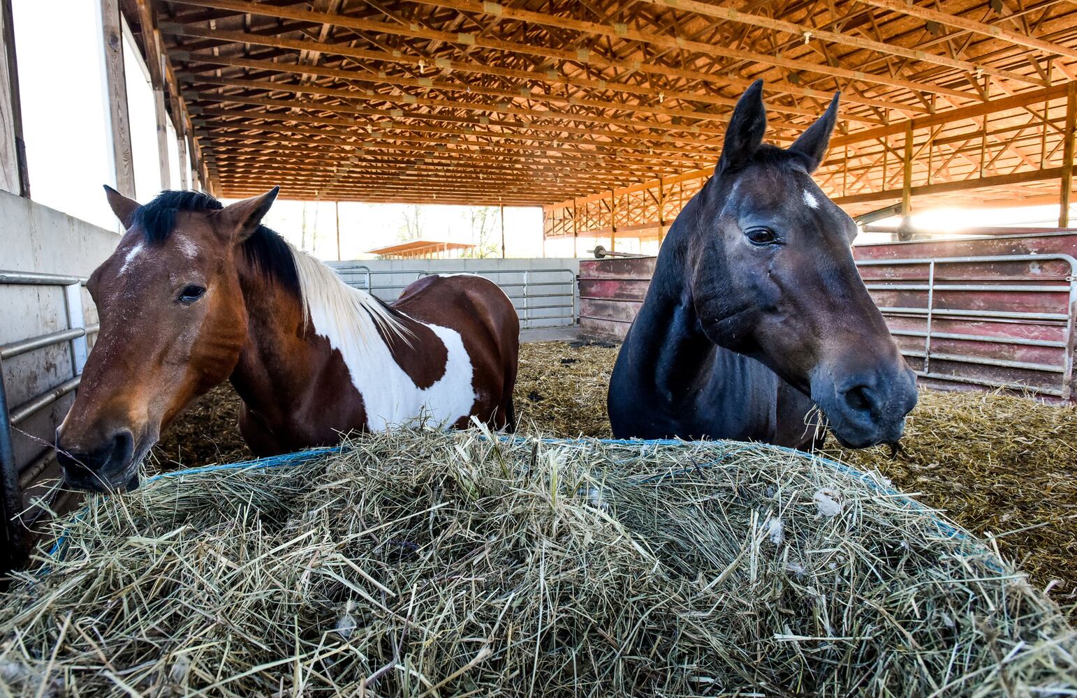 Jackson Family Farm offers visitors a chance to learn about farm life