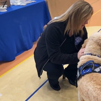 Tango, the newest therapy dog for the Hamilton City Schools, is being used to help de‑escalate children who might be overstimulated in stressful situations. The nearly 2-year-old doodle mix and a previous therapy dog, Arrow, will be joined by three new therapy dogs next school year thanks to a Hamilton Community Foundation grant. CONTRIBUTED