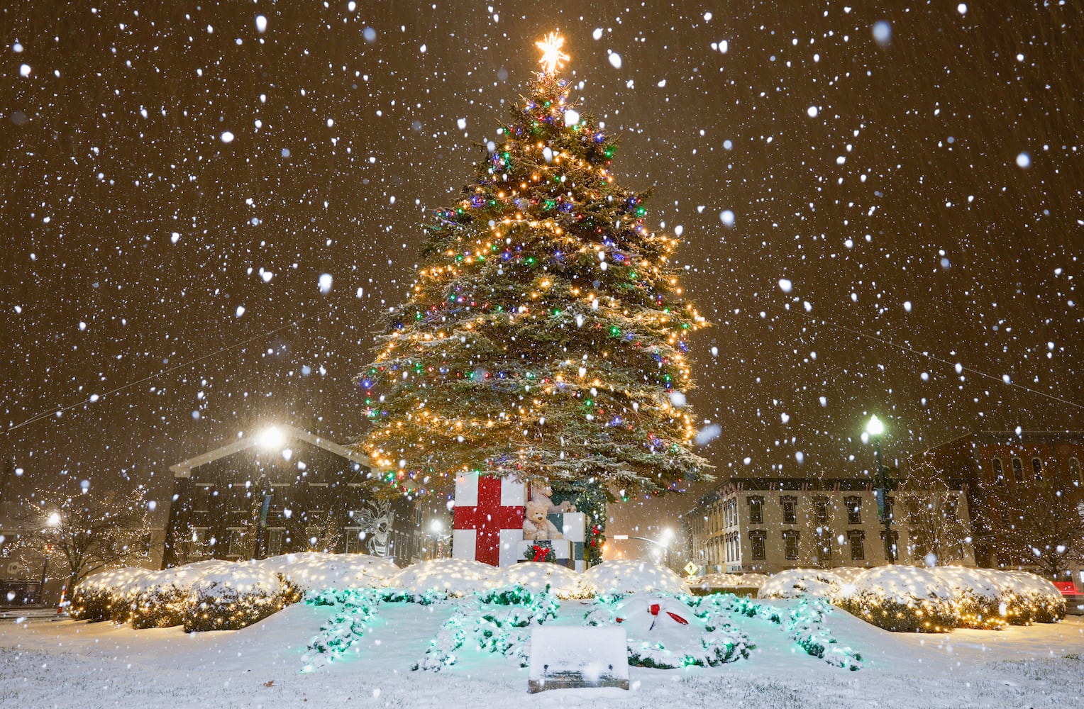 DDN 120125 Troy Snow