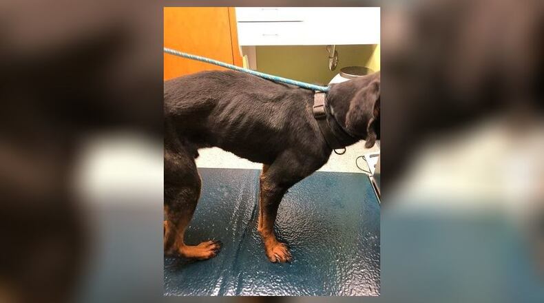 Dollar was found emaciated, locked in his cage without food or water, and was soiled and soaked with his own urine and liquid feces, according to Oxford police. OXFORD POLICE DEPARTMENT