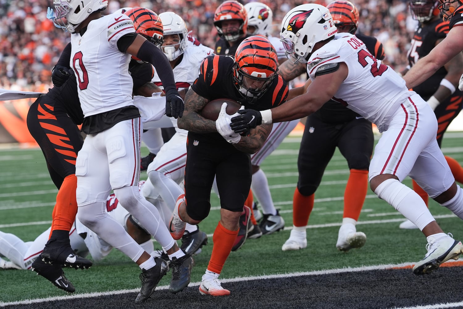 Cardinals Bengals Football