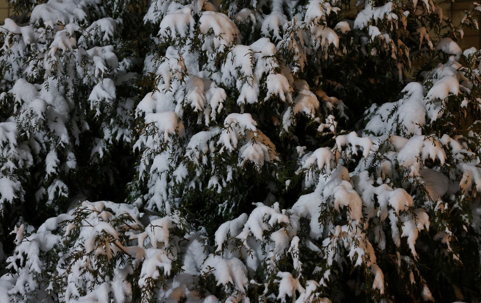 021624 snow