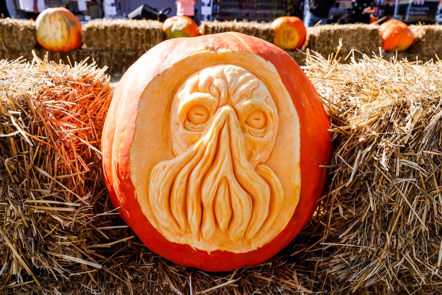 101124 Operation Pumpkin