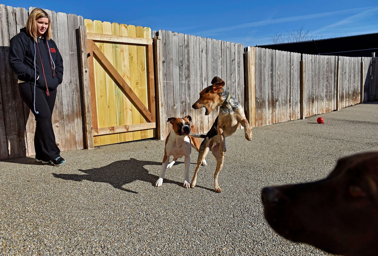 West Chester Pet Resort