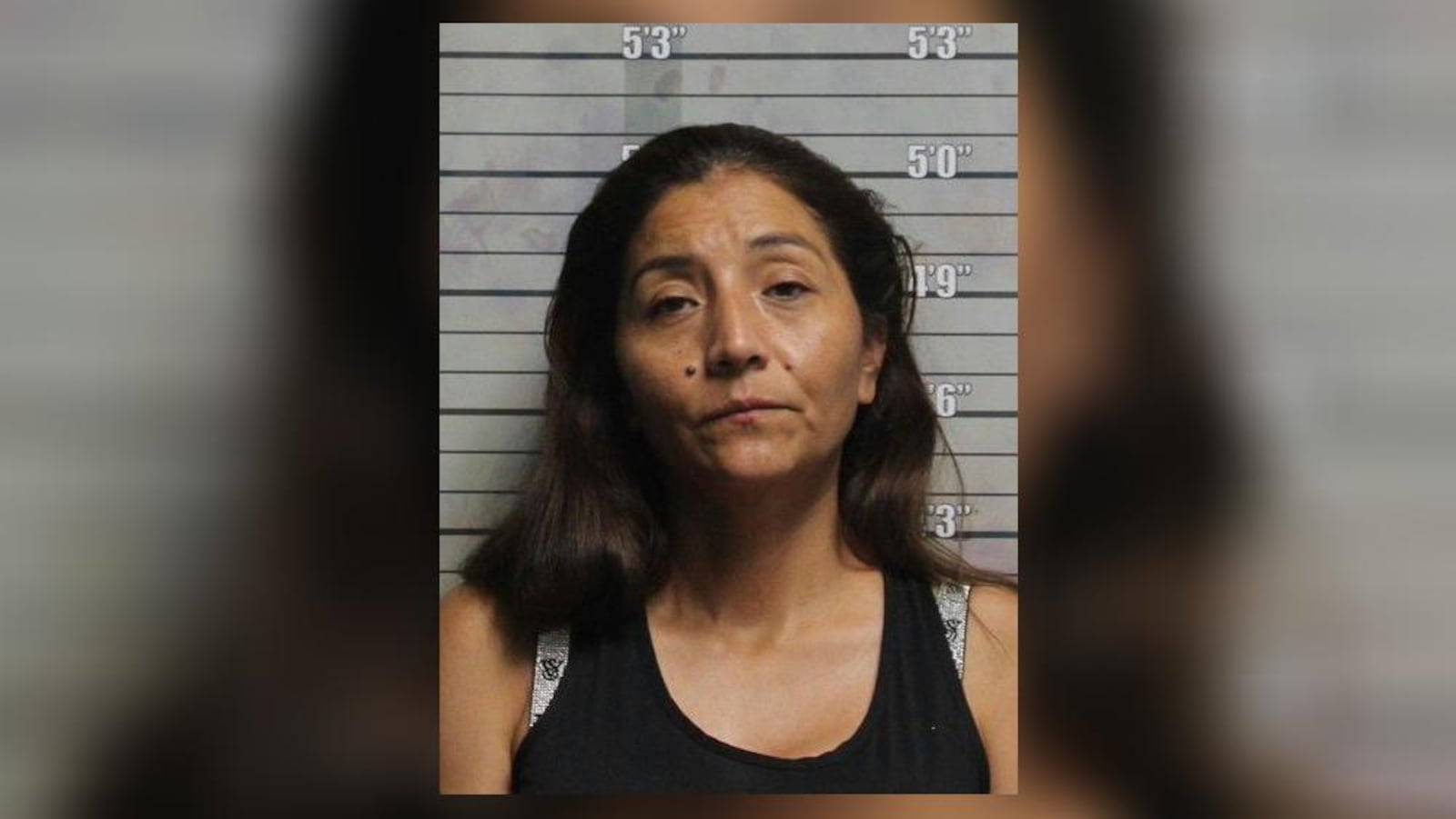 Norma Bautista Garcia, 46, of Springdale, is one of four people charged with multiple felonies related to an Aug. 7 home burglary in West Chester Twp. Police say the crew had burglarized homes and were planning future jobs, according to court records. PROVIDED