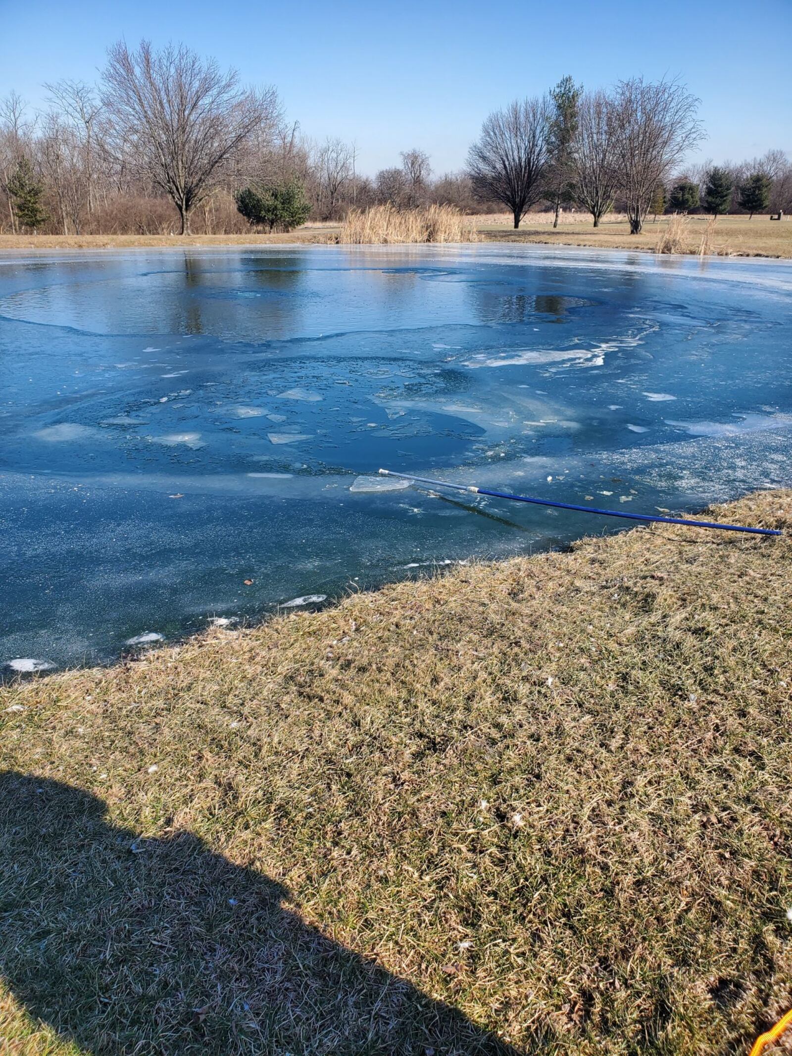 A puppy that was chasing ducks fell through the ice on this pond in Liberty Twp. The dog was rescued and reunited with his owner. SUBMITTED PHOTO