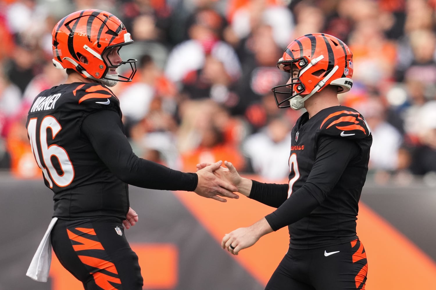 Cardinals Bengals Football