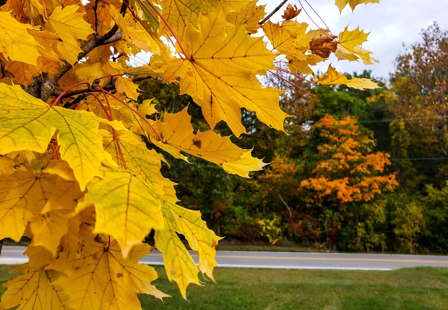 Fall colors October 2020