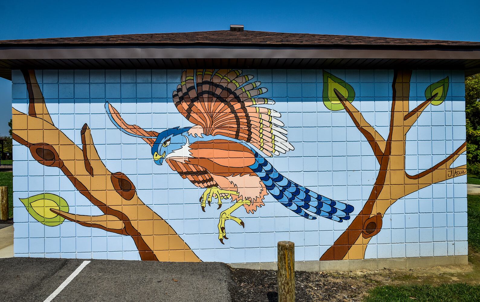 Murals add a splash of color to Hamilton buildings