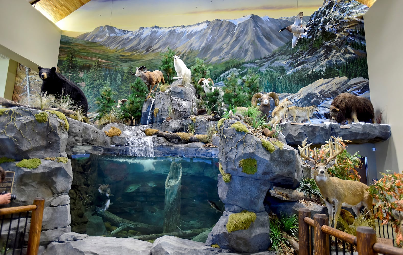 Cabelas tour