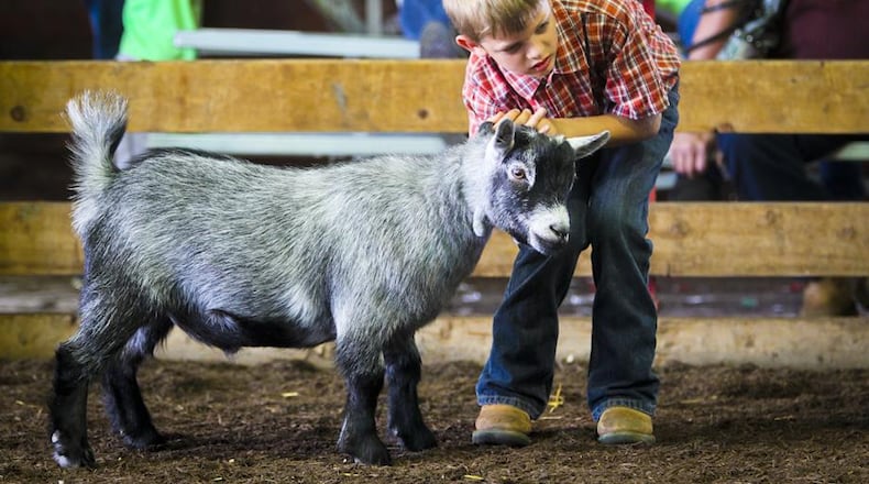 Thousands of people love to see the animals raised by local 4-H kids. Pictured is Adam Bundy, 10, of Okeana, who won junior champion with his pygmy wether goat at the Butler County Fair in 2014. GREG LYNCH/FILE